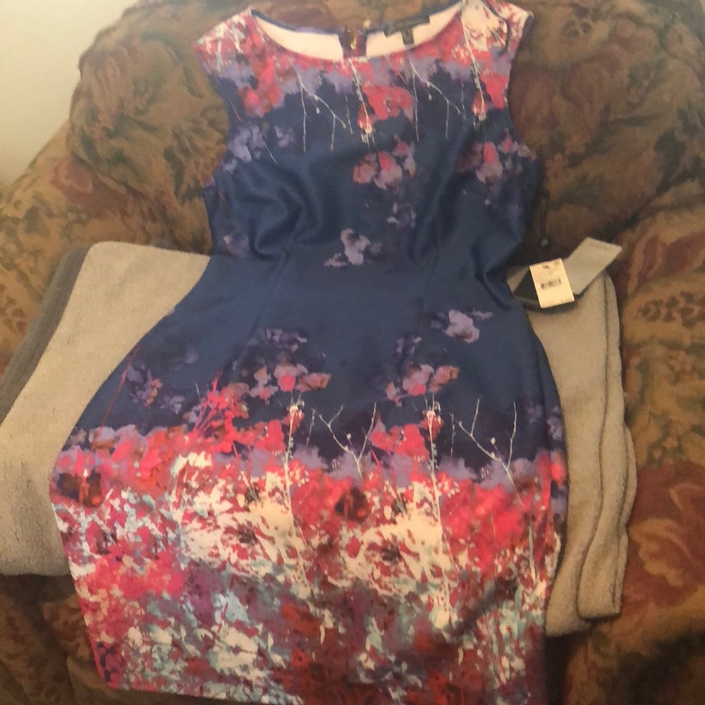 Adrianna Papell Dress